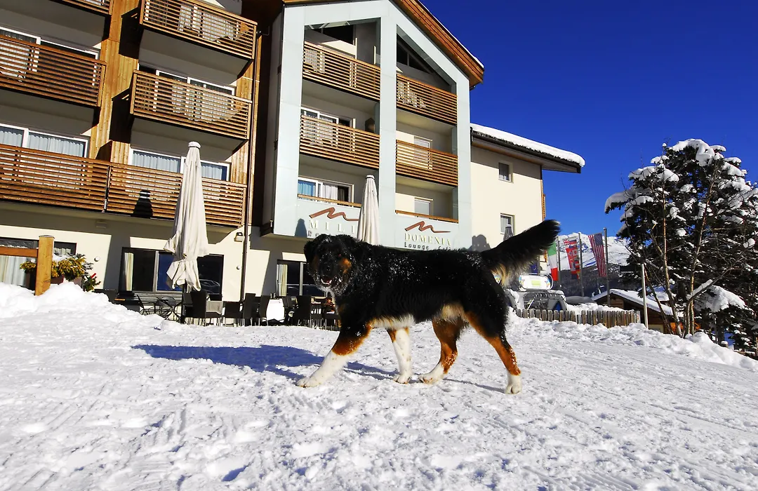 Hotel Lac Salin Spa & Mountain Resort-1